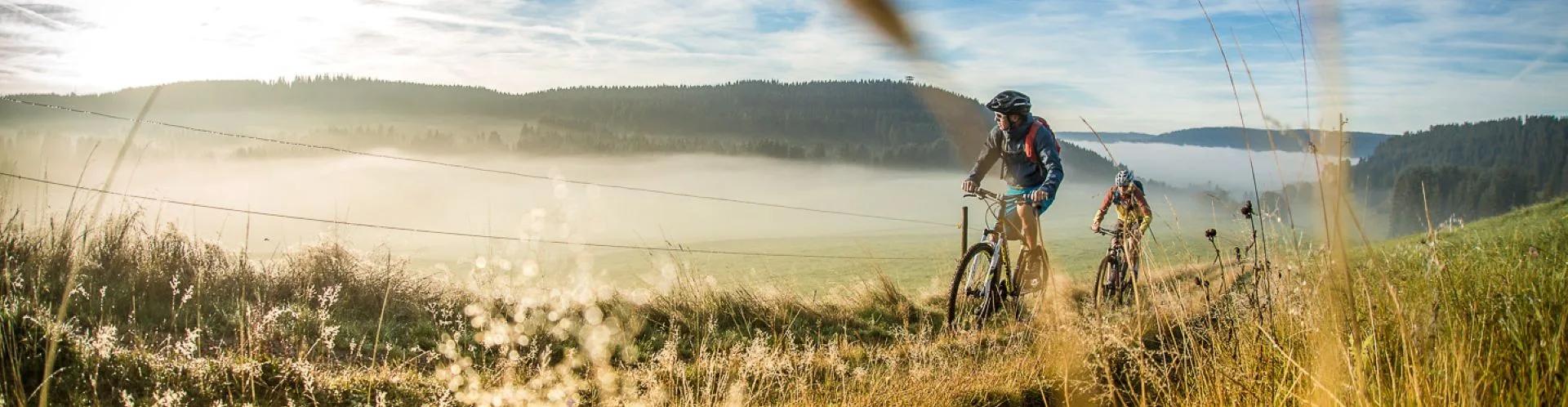 Zwei Mountainbiker fahren durch eine neblige Berglandschaft.